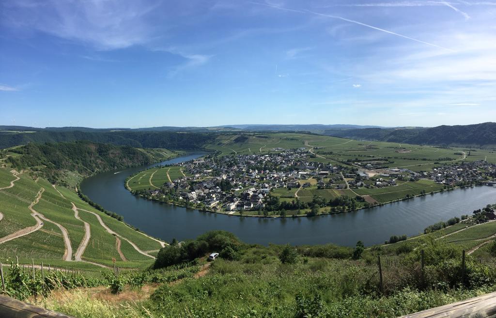 Moselromantik-hotel Zum Löwen Hotel 3*